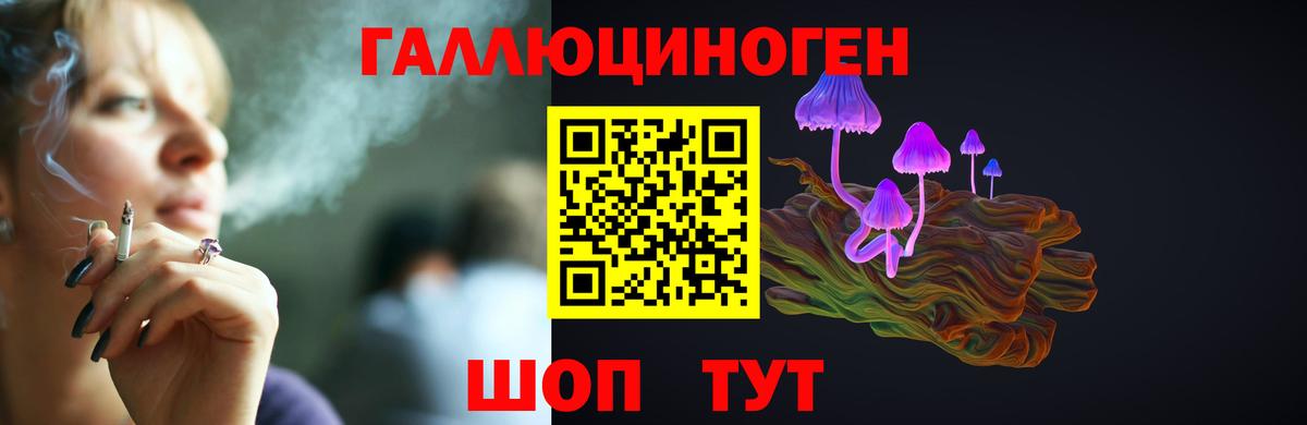 Галлюциногенные грибы Psilocybe  Вход с VPN  Светлоград  Галлюциногенные грибы Cubensis 