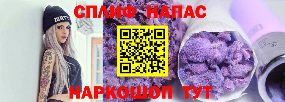Каннабис план Светлоград